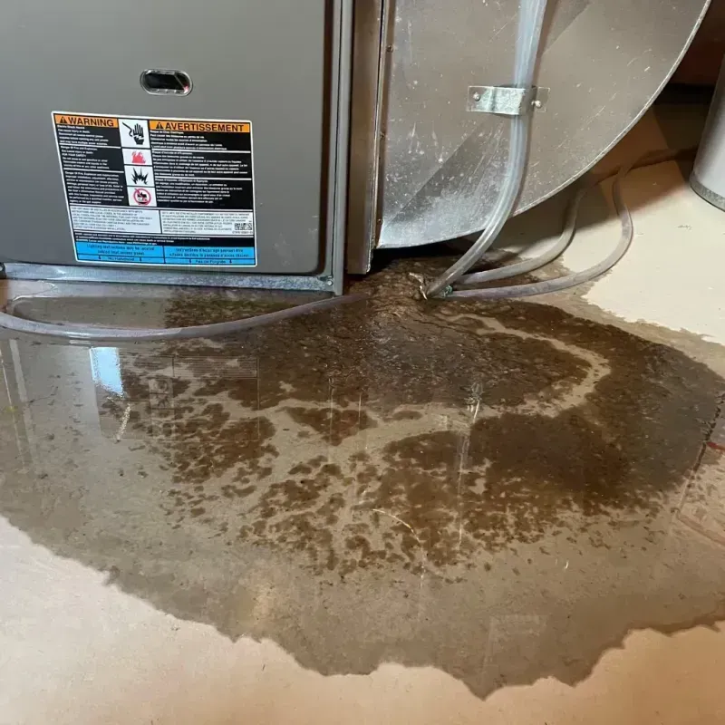 Appliance Leak Cleanup in El Segundo, CA